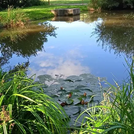 Villa Chalupa Kojetice *