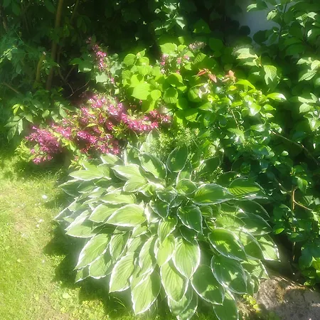 Villa Chalupa Kojetice *