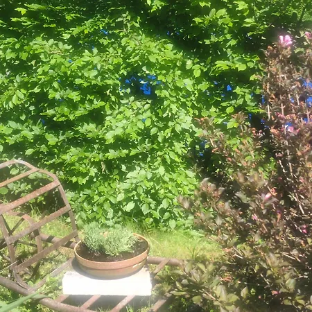 Villa Chalupa Kojetice